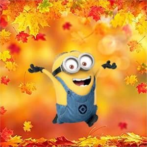 Meet your Posher, Annie